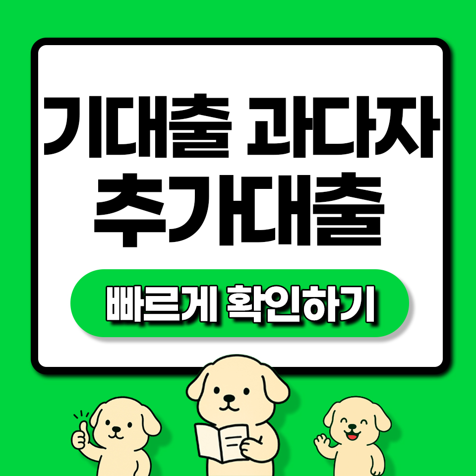 기대출과다자 추가대출 확인하기