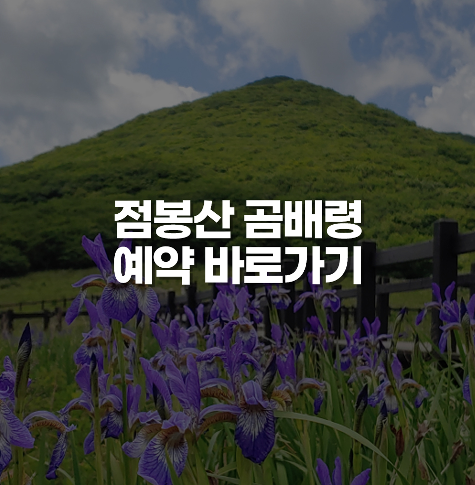 점봉산곰배령예약